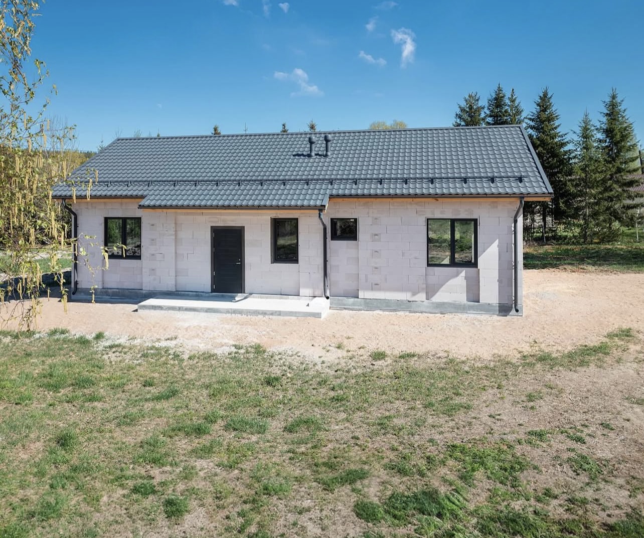 Happy homeowner with renovation